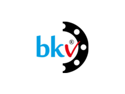 BKV Vana